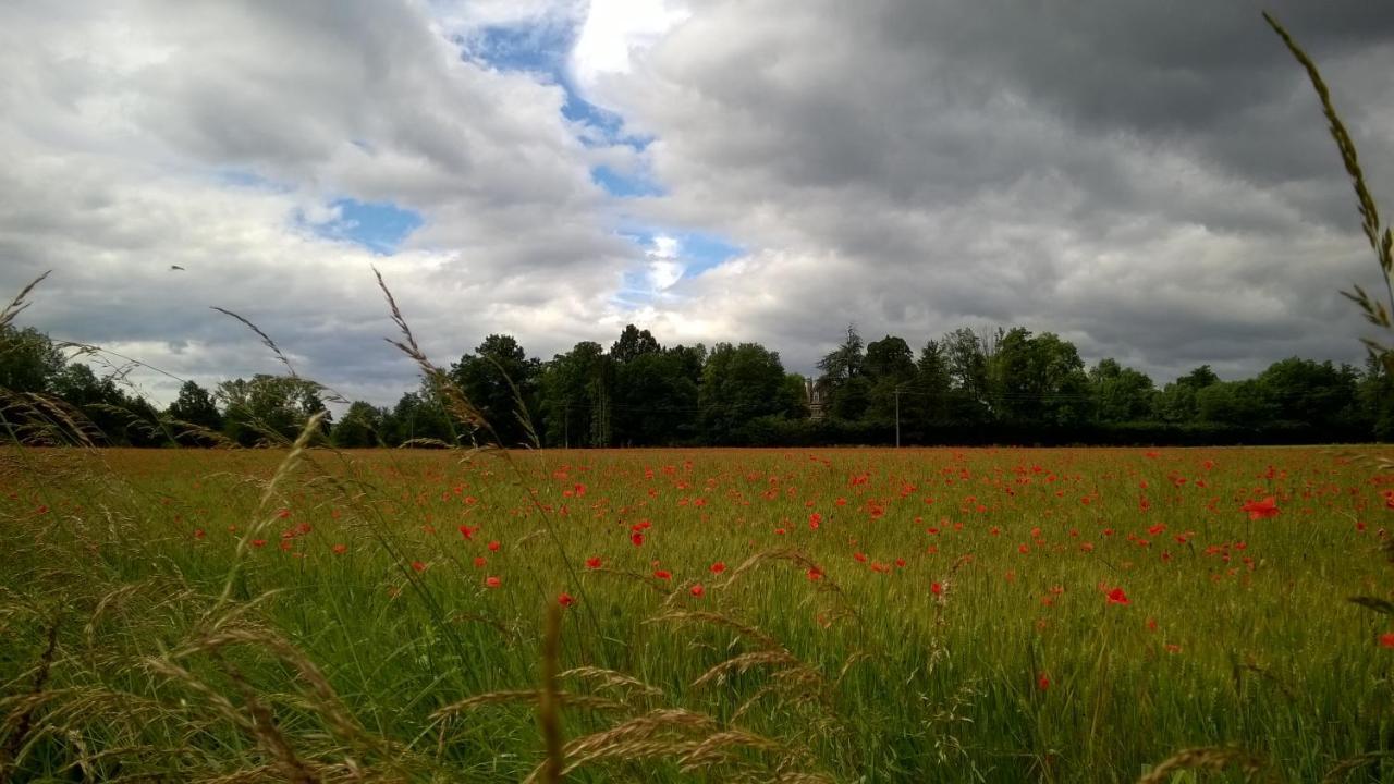 Chateau De La Vernede, La Grande Vernede Saint-Rémy-de-Chargnat Eksteriør billede