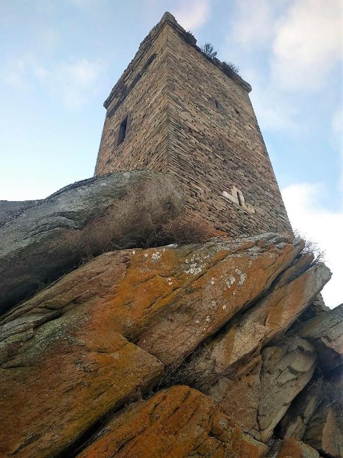 Chateau De La Vernede, La Grande Vernede Saint-Rémy-de-Chargnat Eksteriør billede
