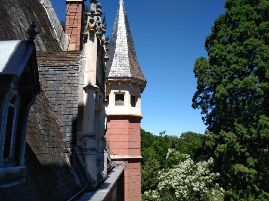 Chateau De La Vernede, La Grande Vernede Saint-Rémy-de-Chargnat Eksteriør billede